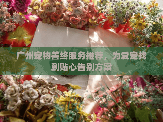 广州宠物善终服务推荐,为爱宠找到贴心告别方案 广州宠物善终服务推荐,为爱宠找到贴心告别方案