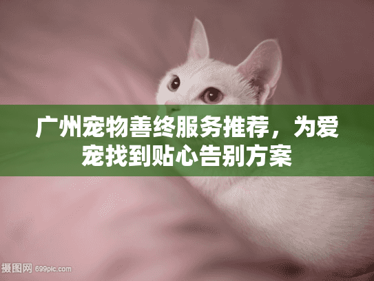 广州宠物善终服务推荐,为爱宠找到贴心告别方案 广州宠物善终服务推荐,为爱宠找到贴心告别方案