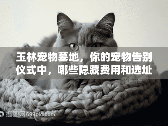 玉林宠物墓地，你的宠物告别仪式中，哪些隐藏费用和选址陷阱可能让你更心痛？