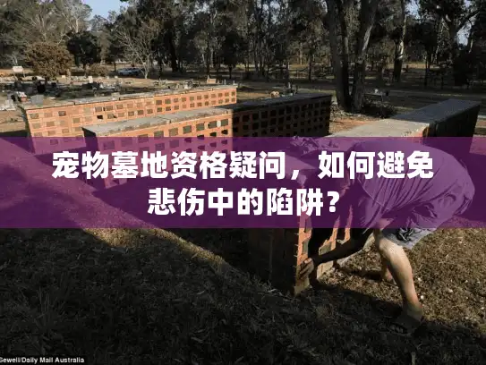 宠物墓地资格疑问，如何避免悲伤中的陷阱？