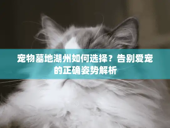 宠物墓地湖州如何选择？告别爱宠的正确姿势解析