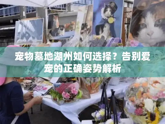 宠物墓地湖州如何选择？告别爱宠的正确姿势解析
