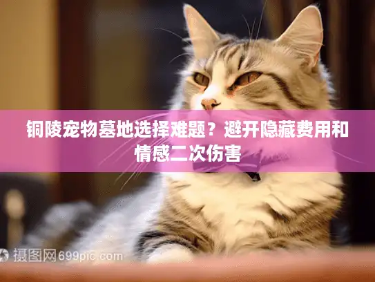 铜陵宠物墓地选择难题？避开隐藏费用和情感二次伤害