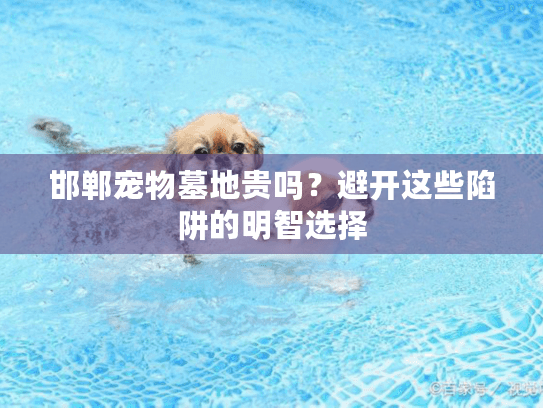 邯郸宠物墓地贵吗?避开这些陷阱的明智选择 邯郸宠物墓地贵吗?避开这些陷阱的明智选择