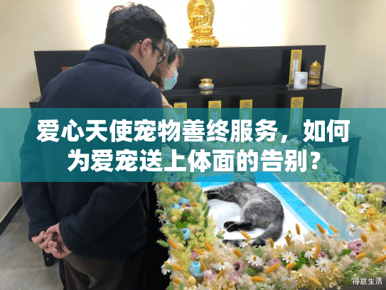 爱心天使宠物善终服务，如何为爱宠送上体面的告别？