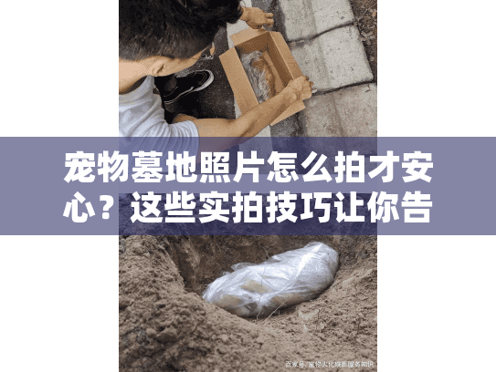 宠物墓地照片怎么拍才安心?这些实拍技巧让你告别遗憾 宠物墓地照片怎么拍才安心?这些实拍技巧让你告别遗憾