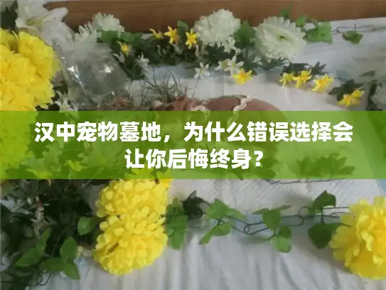 汉中宠物墓地，为什么错误选择会让你后悔终身？