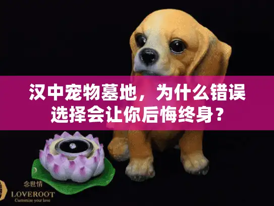 汉中宠物墓地，为什么错误选择会让你后悔终身？