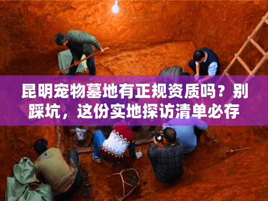 昆明宠物墓地有正规资质吗？别踩坑，这份实地探访清单必存