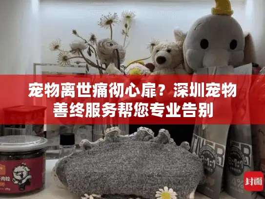 宠物离世痛彻心扉？深圳宠物善终服务帮您专业告别