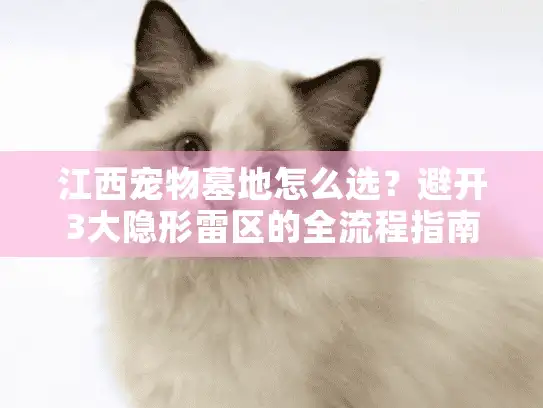 江西宠物墓地怎么选?避开3大隐形雷区的全流程指南 江西宠物墓地怎么选?避开3大隐形雷区的全流程指南