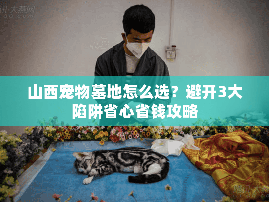 山西宠物墓地怎么选?避开3大陷阱省心省钱攻略 山西宠物墓地怎么选?避开3大陷阱省心省钱攻略
