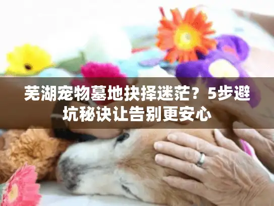 芜湖宠物墓地抉择迷茫？5步避坑秘诀让告别更安心