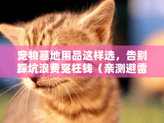 宠物墓地用品这样选，告别踩坑浪费冤枉钱（亲测避雷清单）