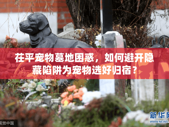 茌平宠物墓地困惑,如何避开隐藏陷阱为宠物选好归宿? 茌平宠物墓地困惑,如何避开隐藏陷阱为宠物选好归宿?
