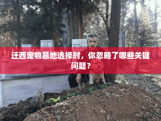 迁西宠物墓地选择时,你忽略了哪些关键问题? 迁西宠物墓地选择时,你忽略了哪些关键问题?