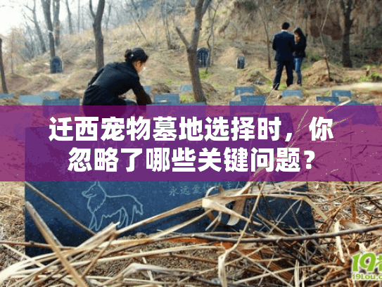 迁西宠物墓地选择时,你忽略了哪些关键问题? 迁西宠物墓地选择时,你忽略了哪些关键问题?
