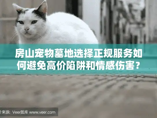 房山宠物墓地选择正规服务如何避免高价陷阱和情感伤害？