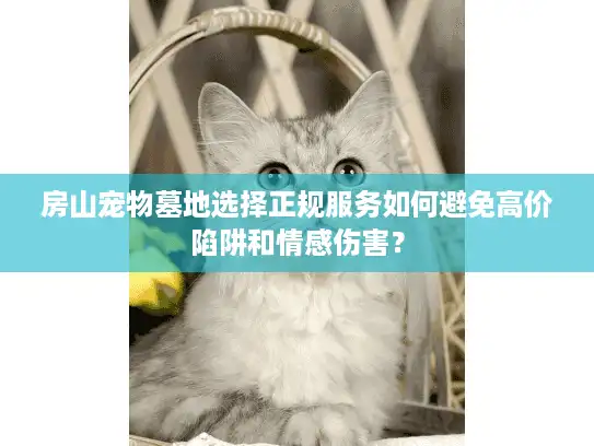 房山宠物墓地选择正规服务如何避免高价陷阱和情感伤害？