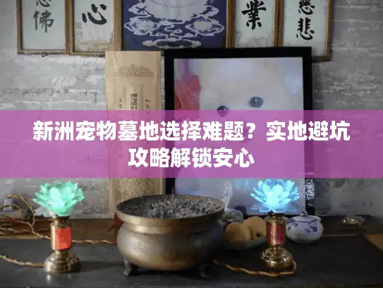 新洲宠物墓地选择难题?实地避坑攻略解锁安心 新洲宠物墓地选择难题?实地避坑攻略解锁安心