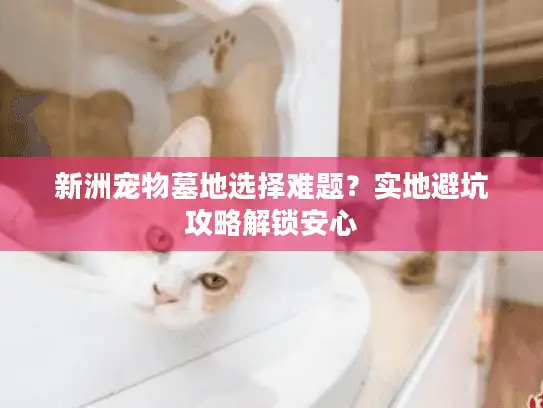 新洲宠物墓地选择难题?实地避坑攻略解锁安心 新洲宠物墓地选择难题?实地避坑攻略解锁安心