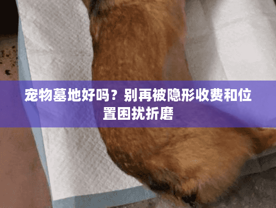 宠物墓地好吗？别再被隐形收费和位置困扰折磨