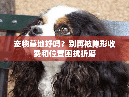 宠物墓地好吗？别再被隐形收费和位置困扰折磨