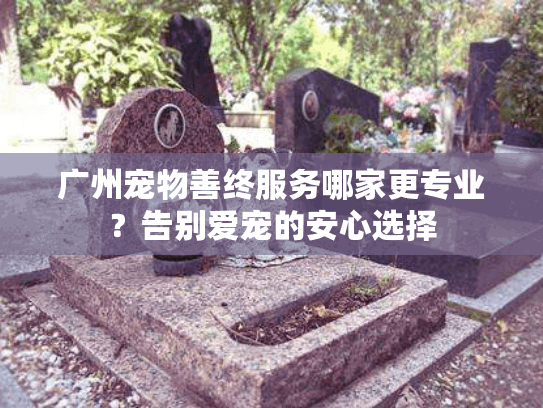 广州宠物善终服务哪家更专业?告别爱宠的安心选择 广州宠物善终服务哪家更专业?告别爱宠的安心选择