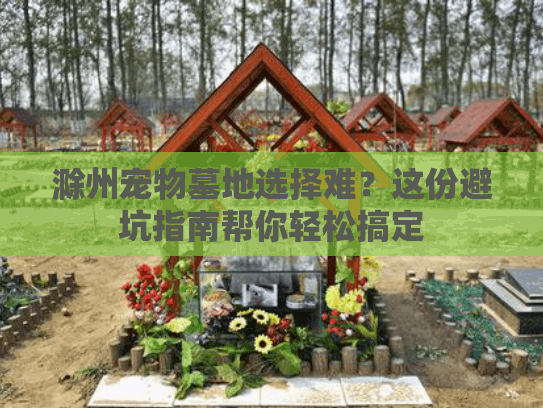 滁州宠物墓地选择难？这份避坑指南帮你轻松搞定
