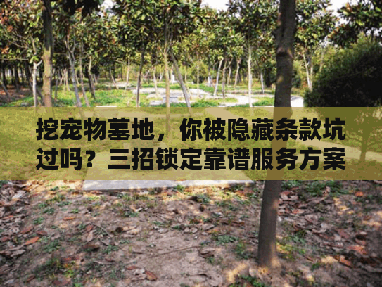 挖宠物墓地,你被隐藏条款坑过吗?三招锁定靠谱服务方案 挖宠物墓地,你被隐藏条款坑过吗?三招锁定靠谱服务方案