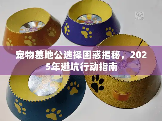 宠物墓地公选择困惑揭秘，2025年避坑行动指南