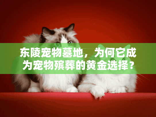 东陵宠物墓地，为何它成为宠物殡葬的黄金选择？