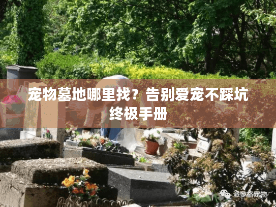 宠物墓地哪里找？告别爱宠不踩坑终极手册