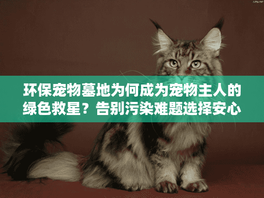 环保宠物墓地为何成为宠物主人的绿色救星？告别污染难题选择安心