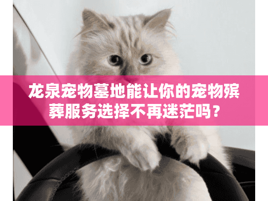 龙泉宠物墓地能让你的宠物殡葬服务选择不再迷茫吗？