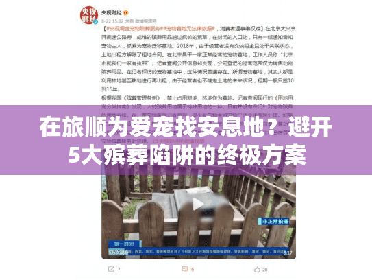 在旅顺为爱宠找安息地？避开5大殡葬陷阱的终极方案