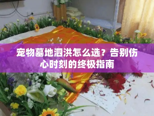 宠物墓地泗洪怎么选?告别伤心时刻的终极指南 宠物墓地泗洪怎么选?告别伤心时刻的终极指南