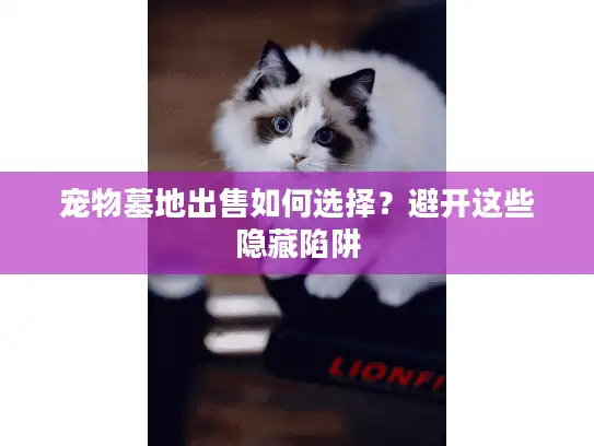 宠物墓地出售如何选择？避开这些隐藏陷阱