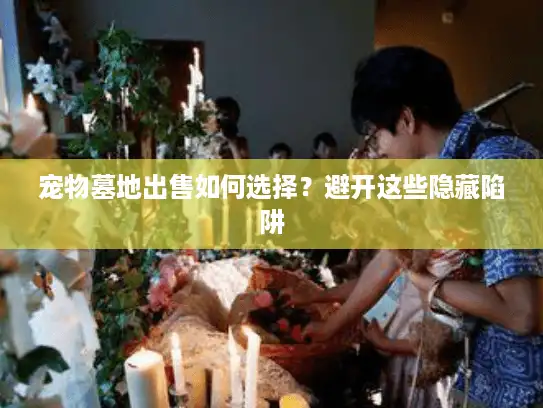 宠物墓地出售如何选择？避开这些隐藏陷阱