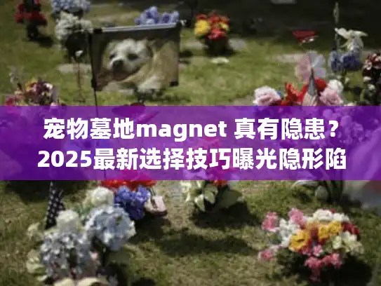 宠物墓地magnet 真有隐患？2025最新选择技巧曝光隐形陷阱