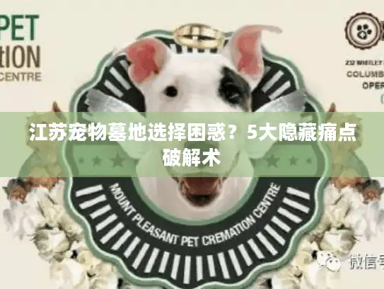 江苏宠物墓地选择困惑?5大隐藏痛点破解术 江苏宠物墓地选择困惑?5大隐藏痛点破解术