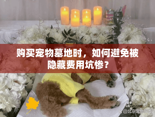 购买宠物墓地时，如何避免被隐藏费用坑惨？