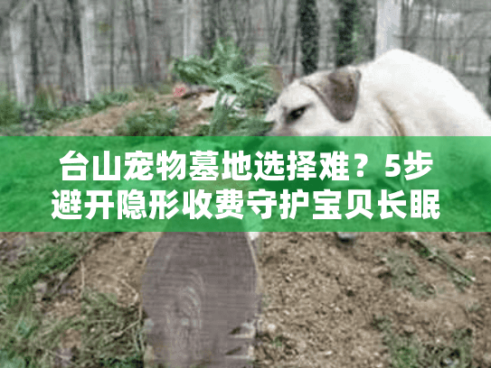 台山宠物墓地选择难？5步避开隐形收费守护宝贝长眠