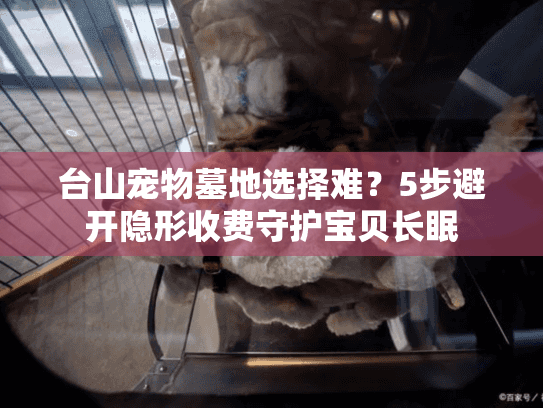 台山宠物墓地选择难？5步避开隐形收费守护宝贝长眠