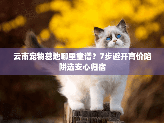 云南宠物墓地哪里靠谱?7步避开高价陷阱选安心归宿 云南宠物墓地哪里靠谱?7步避开高价陷阱选安心归宿