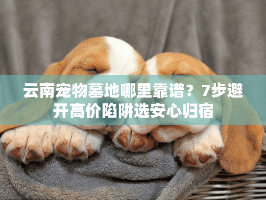 云南宠物墓地哪里靠谱?7步避开高价陷阱选安心归宿 云南宠物墓地哪里靠谱?7步避开高价陷阱选安心归宿