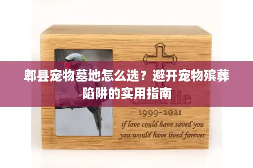 郫县宠物墓地怎么选？避开宠物殡葬陷阱的实用指南
