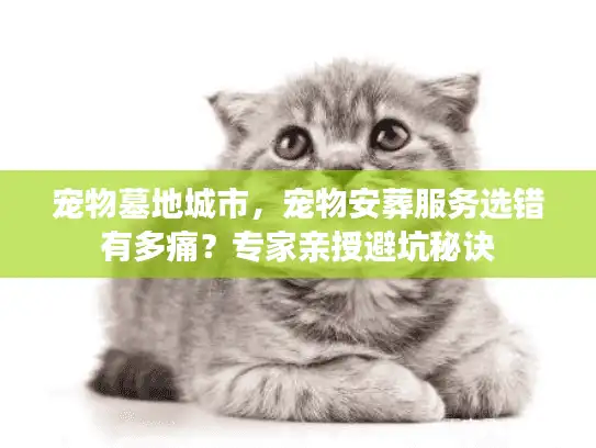 宠物墓地城市，宠物安葬服务选错有多痛？专家亲授避坑秘诀