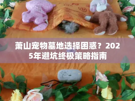 萧山宠物墓地选择困惑？2025年避坑终极策略指南