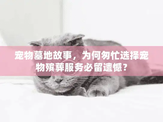 宠物墓地故事，为何匆忙选择宠物殡葬服务必留遗憾？